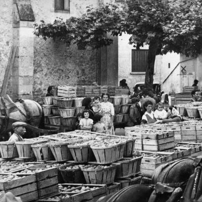 Mairie008