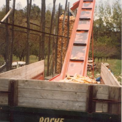 Rd017
